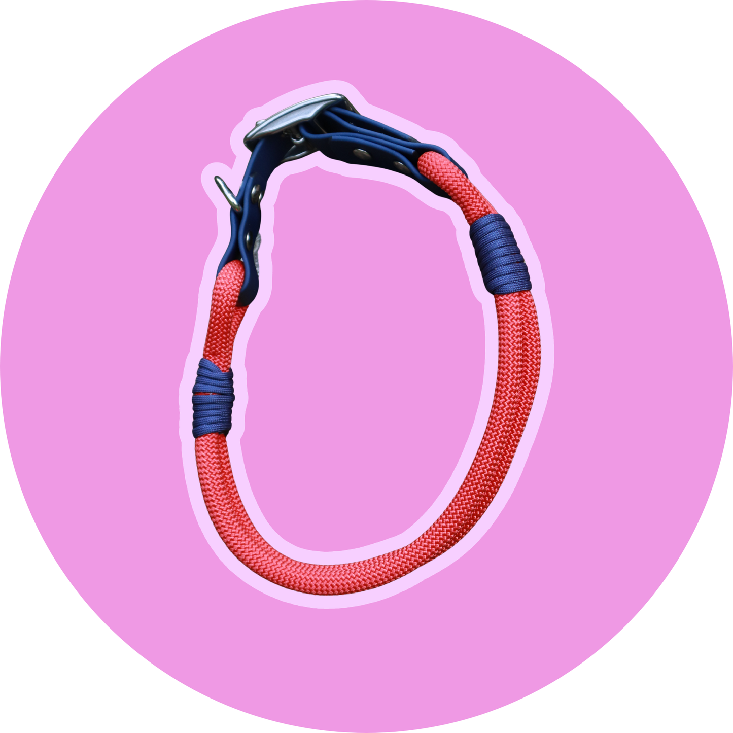 Collier FLAM — Biothane® & corde chien