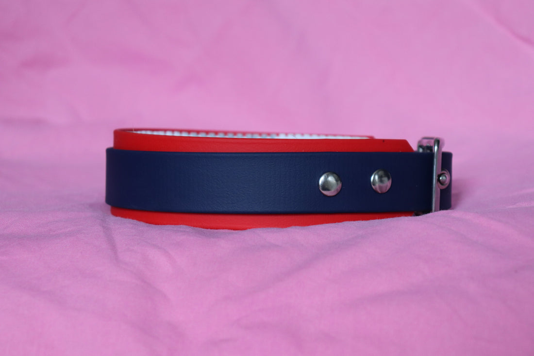 Biothane® vs cuir : quel collier choisir pour son chien ?