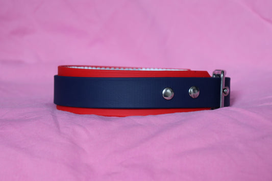 Biothane® vs cuir : quel collier choisir pour son chien ?