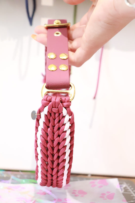 ENTRETIEN collier & laisse chien — biothane® et paracorde