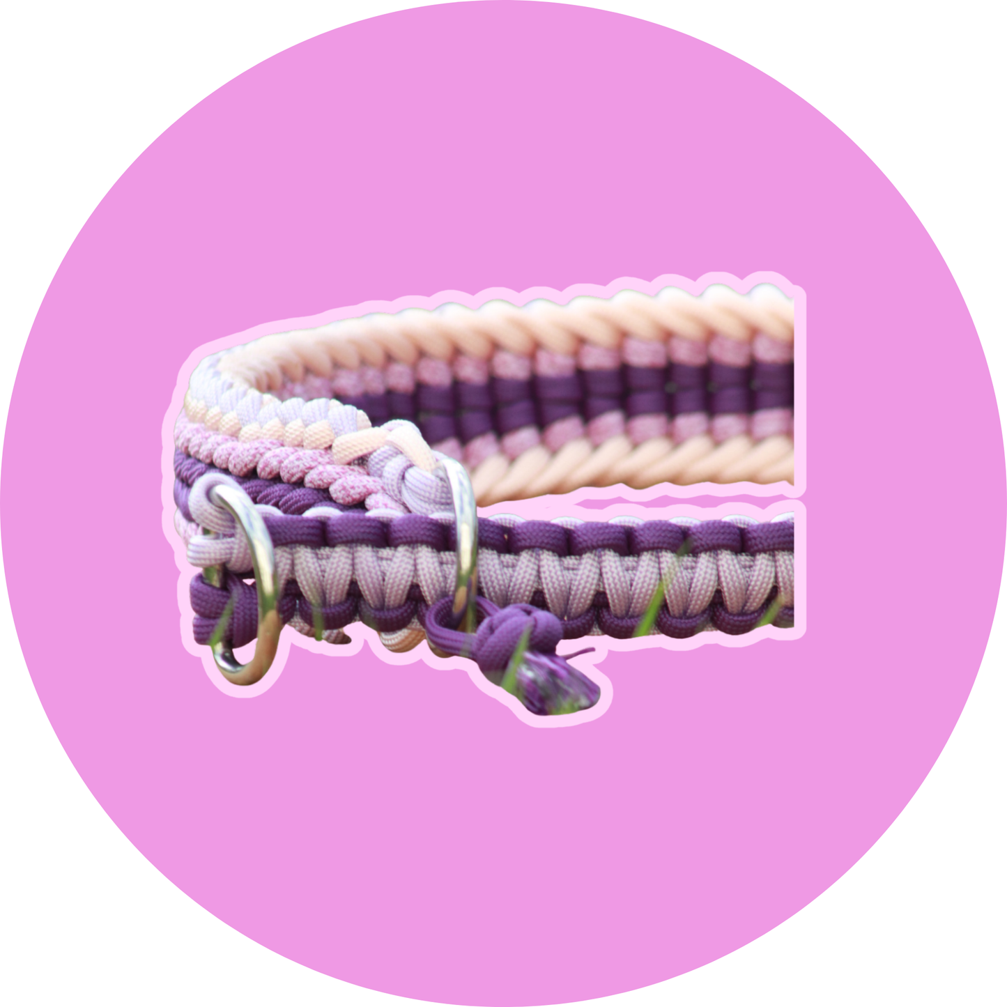 Collier APPY, collier paracorde chien fait main