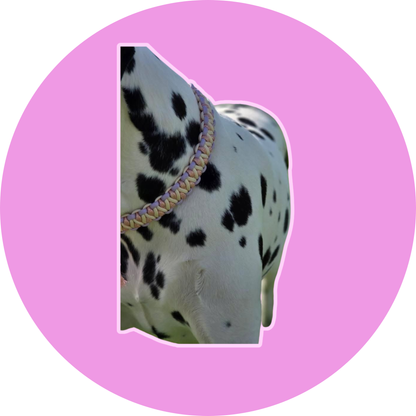 Collier TALIA - Collier paracorde chien fait main