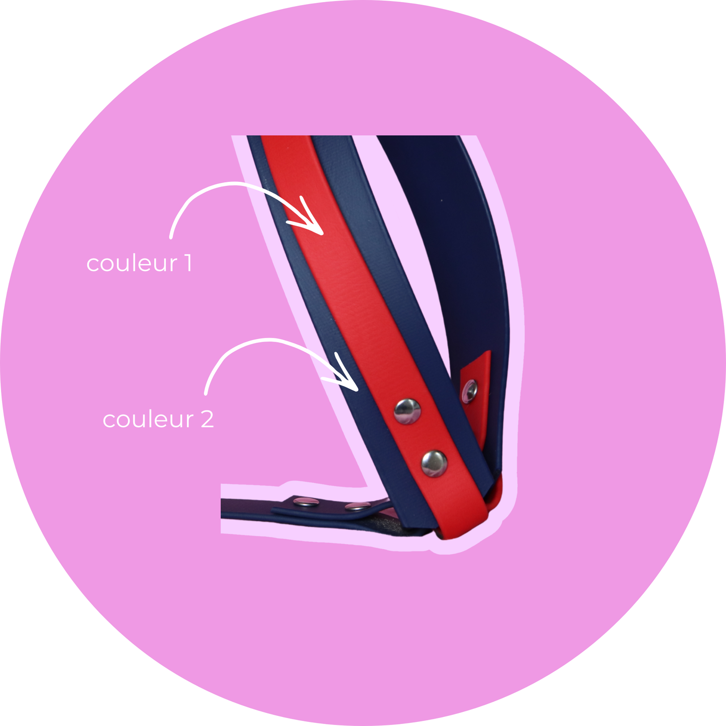 Harnais FLAM — Biothane® sur mesure chien
