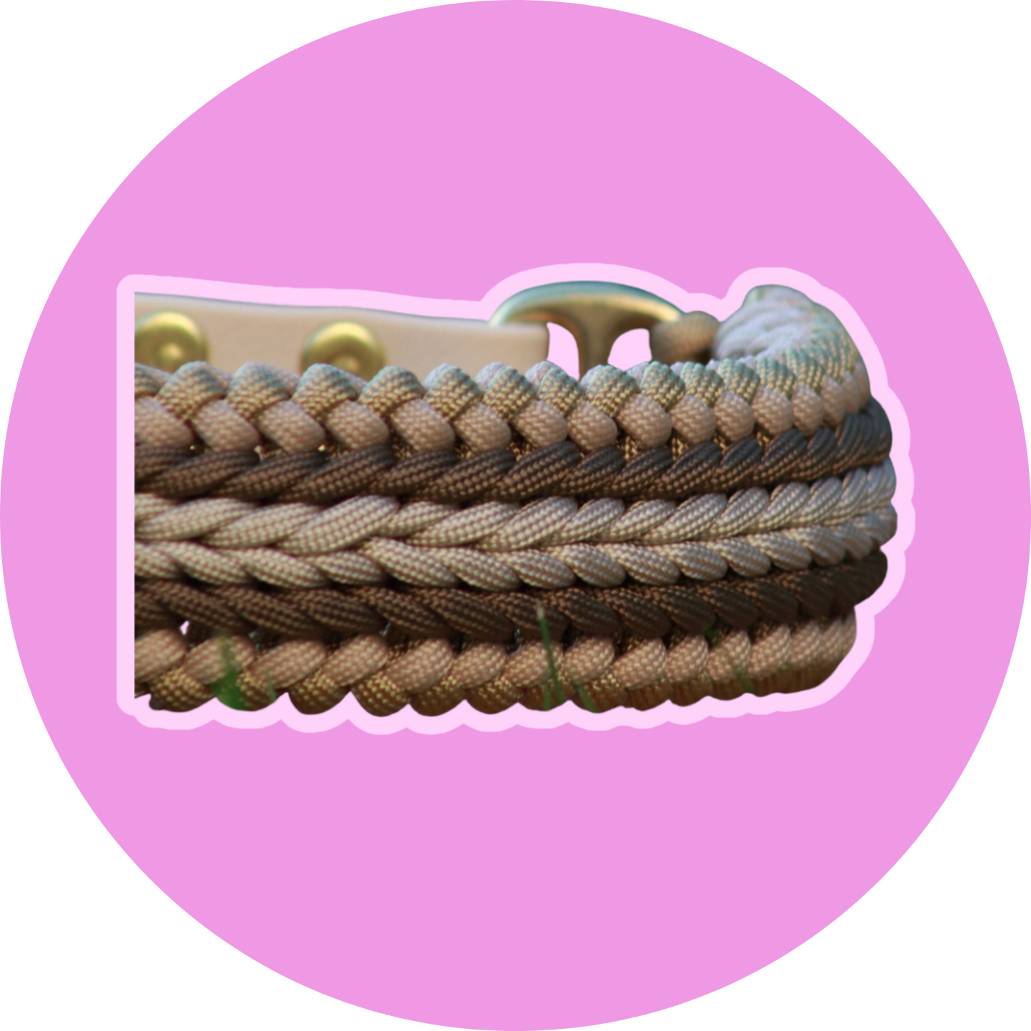 Collier APPY, collier paracorde chien fait main