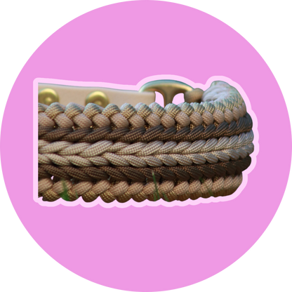 Collier APPY, collier paracorde chien fait main