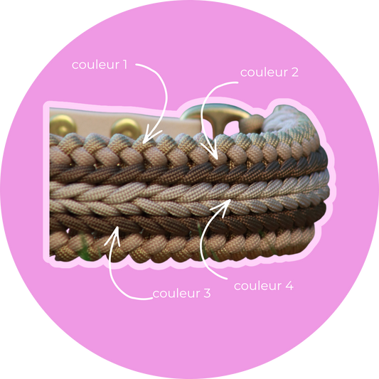 Collier APPY, collier paracorde chien fait main