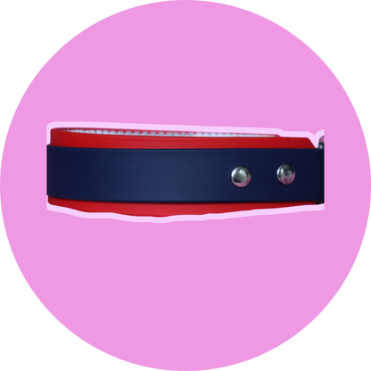 Collier FLAM - double Biothane® 25/38mm chien