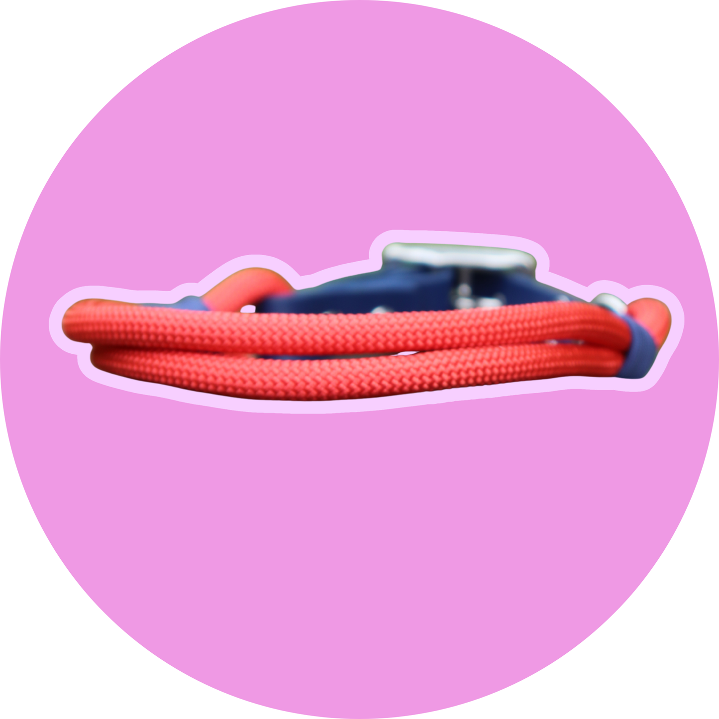 Collier FLAM — Biothane® & corde chien