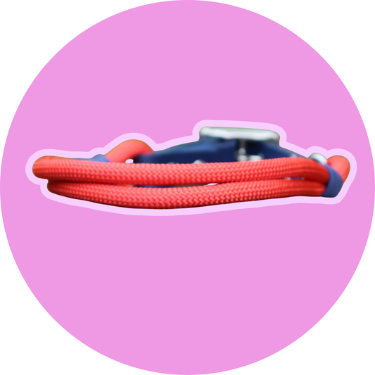 Collier FLAM — Biothane® & corde chien