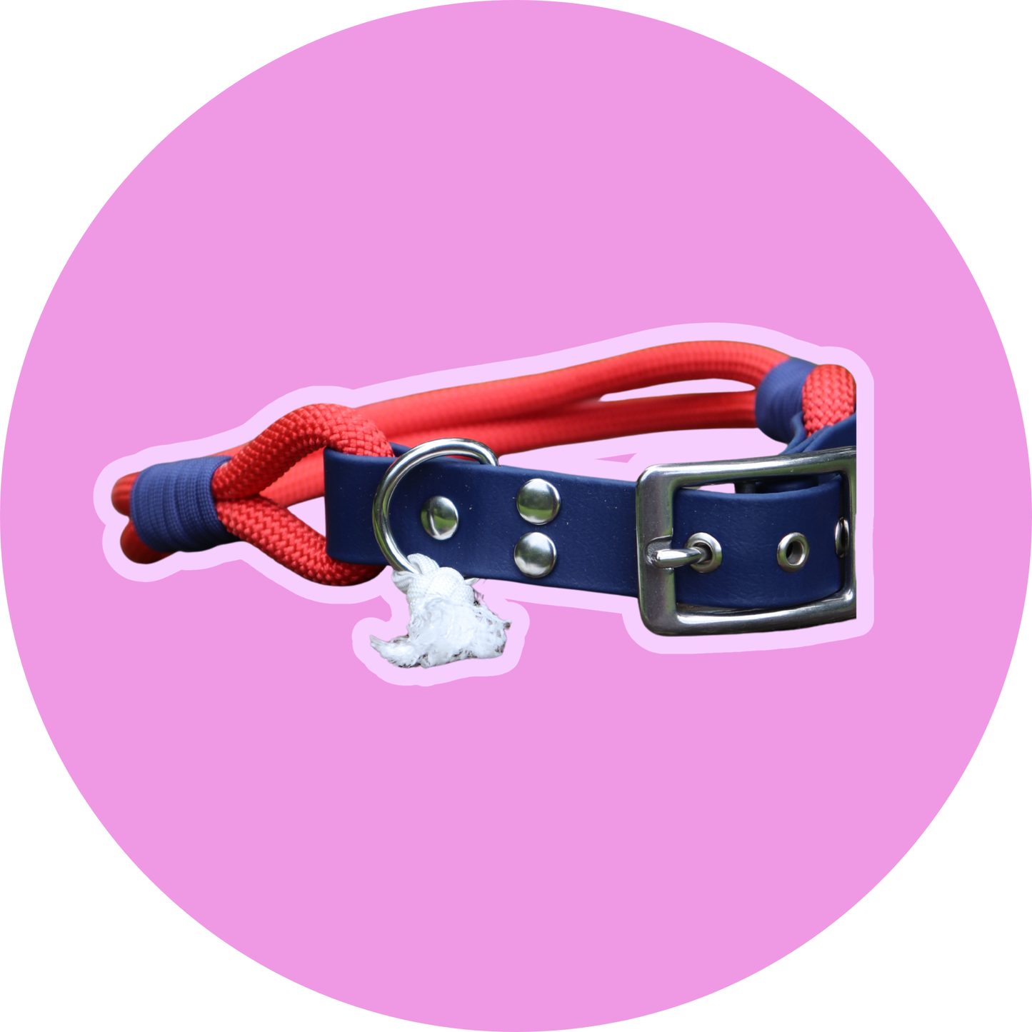 Collier FLAM — Biothane® & corde chien