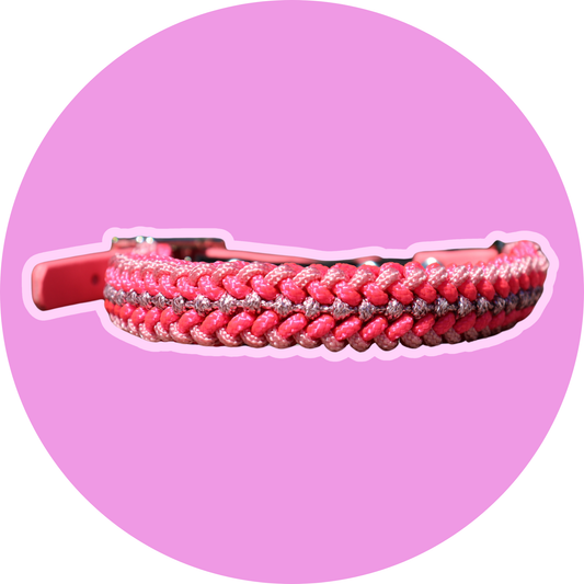 Collier GUISMO mini - collier chien paracorde fait main