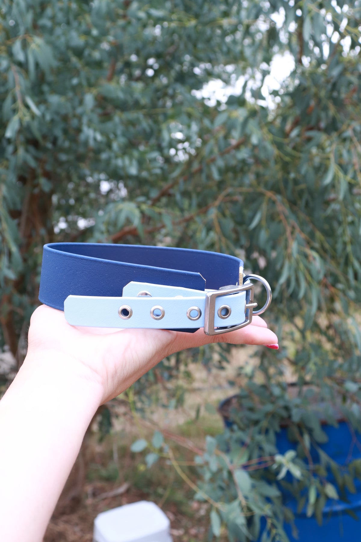 Collier Biothane® 38mm