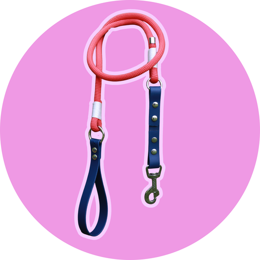 Laisse FLAM - Biothane® & corde