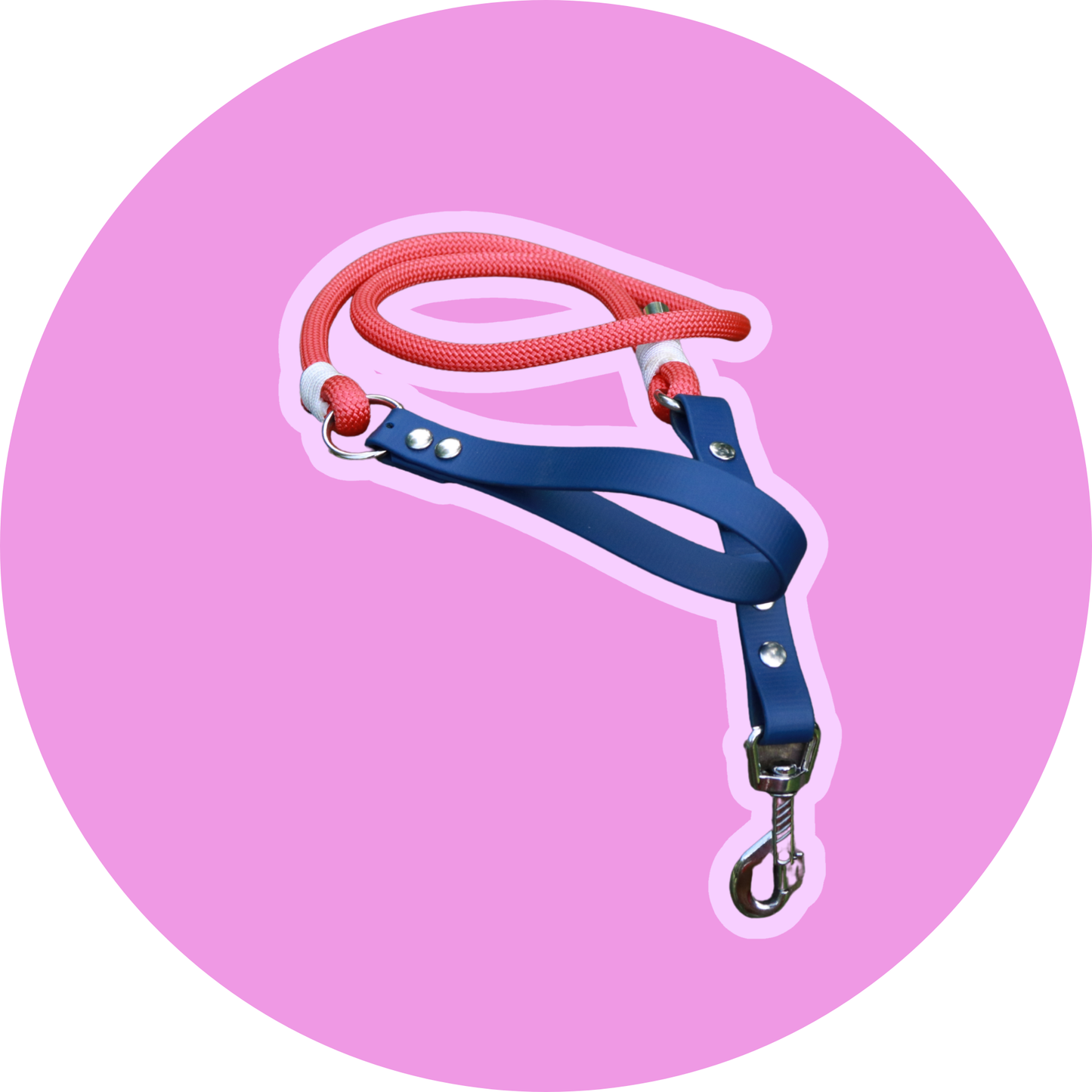 Laisse FLAM - Biothane® & corde