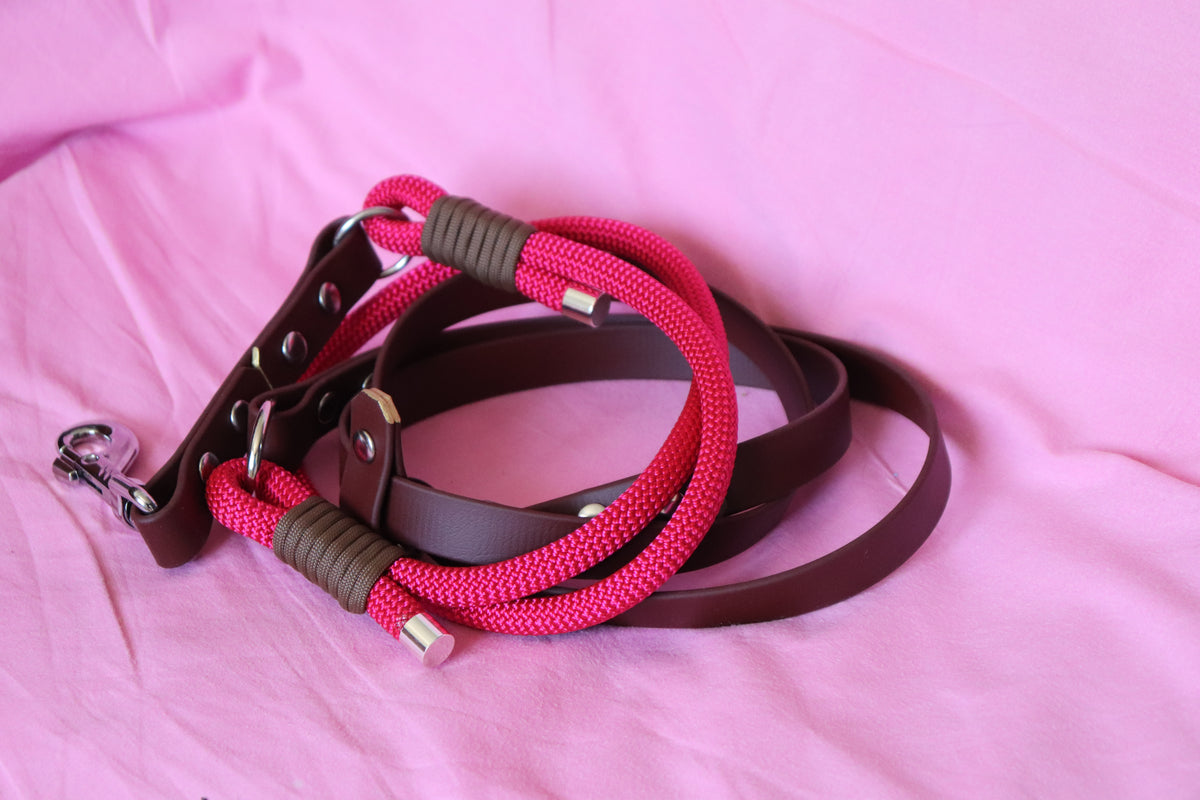 Laisse Biothane® & corde