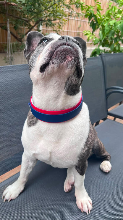Collier FLAM - double Biothane® 25/38mm chien