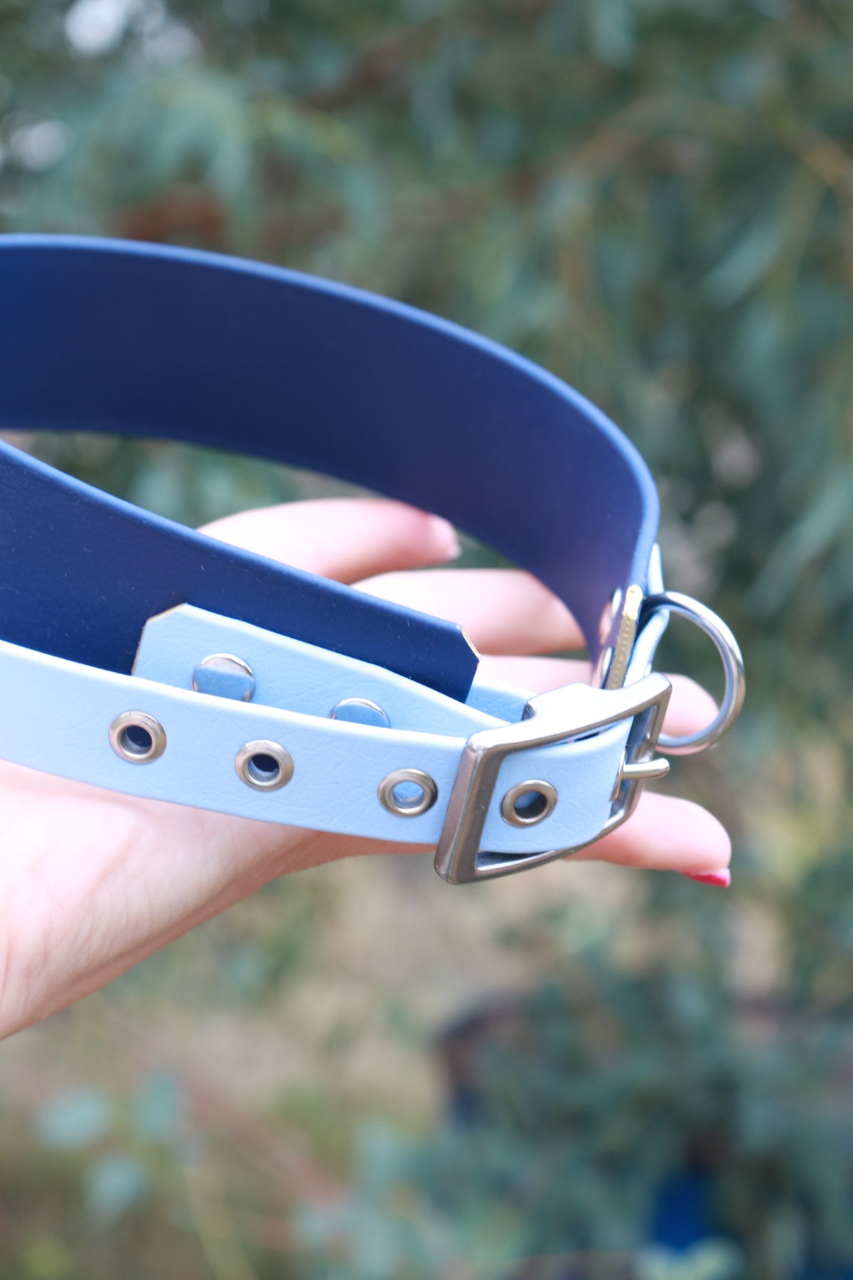 Collier Biothane® 38mm