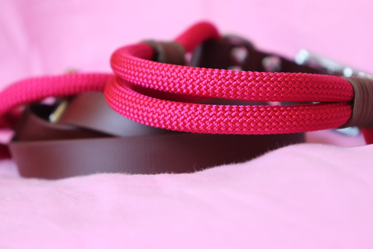 Laisse Biothane® & corde