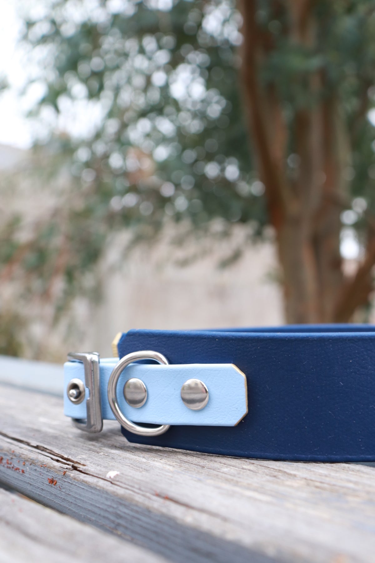 Collier Biothane® 38mm