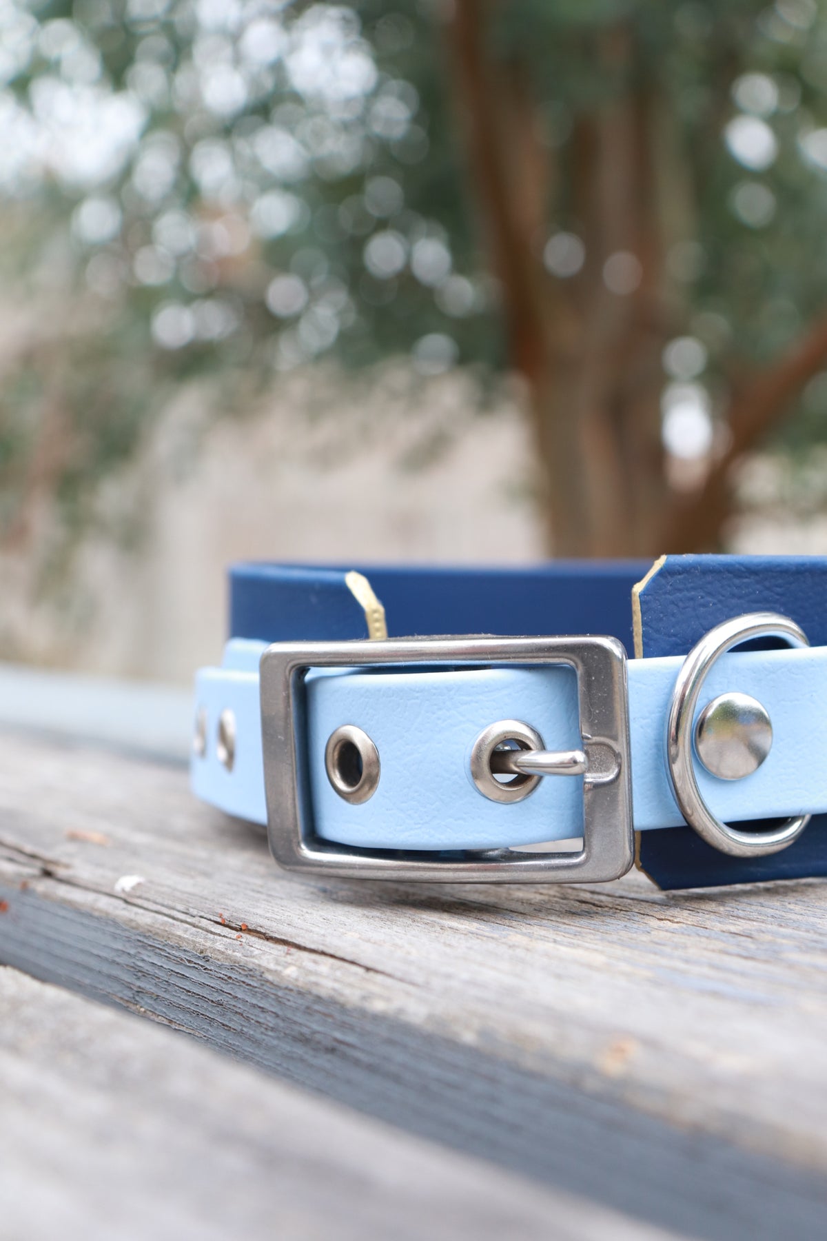 Collier Biothane® 38mm