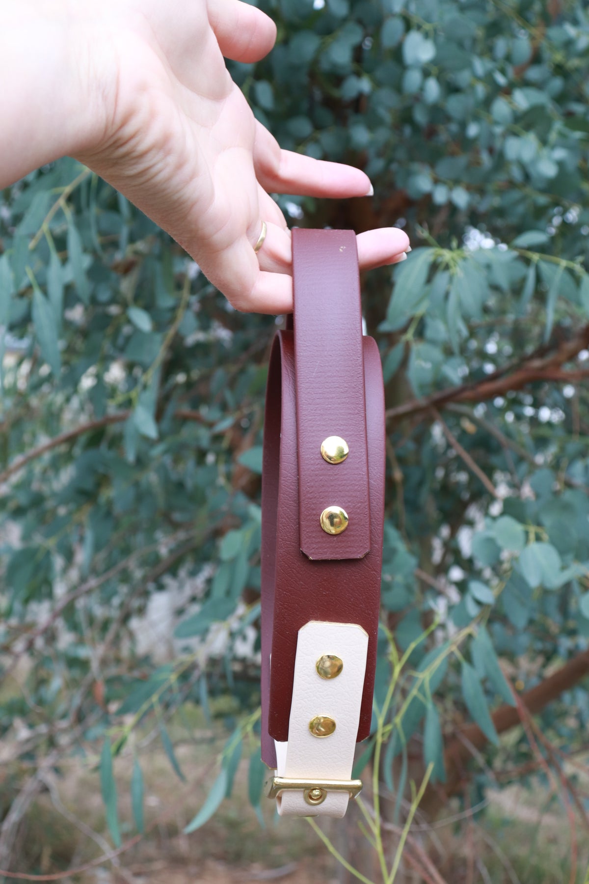 Collier Biothane® 38mm