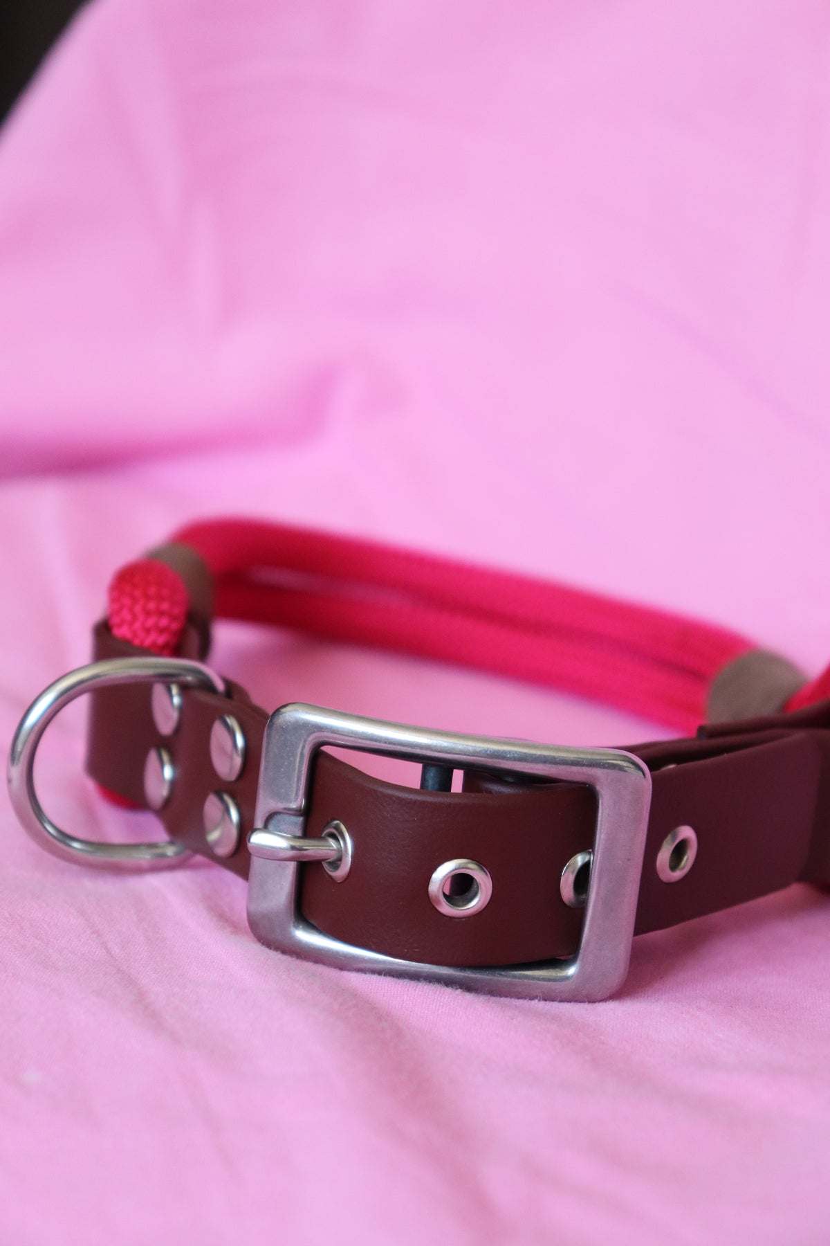 Collier Biothane® & corde