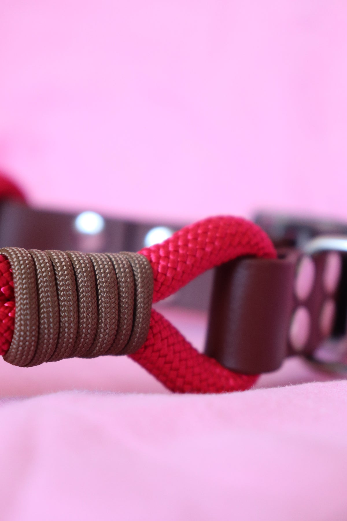 Collier Biothane® & corde